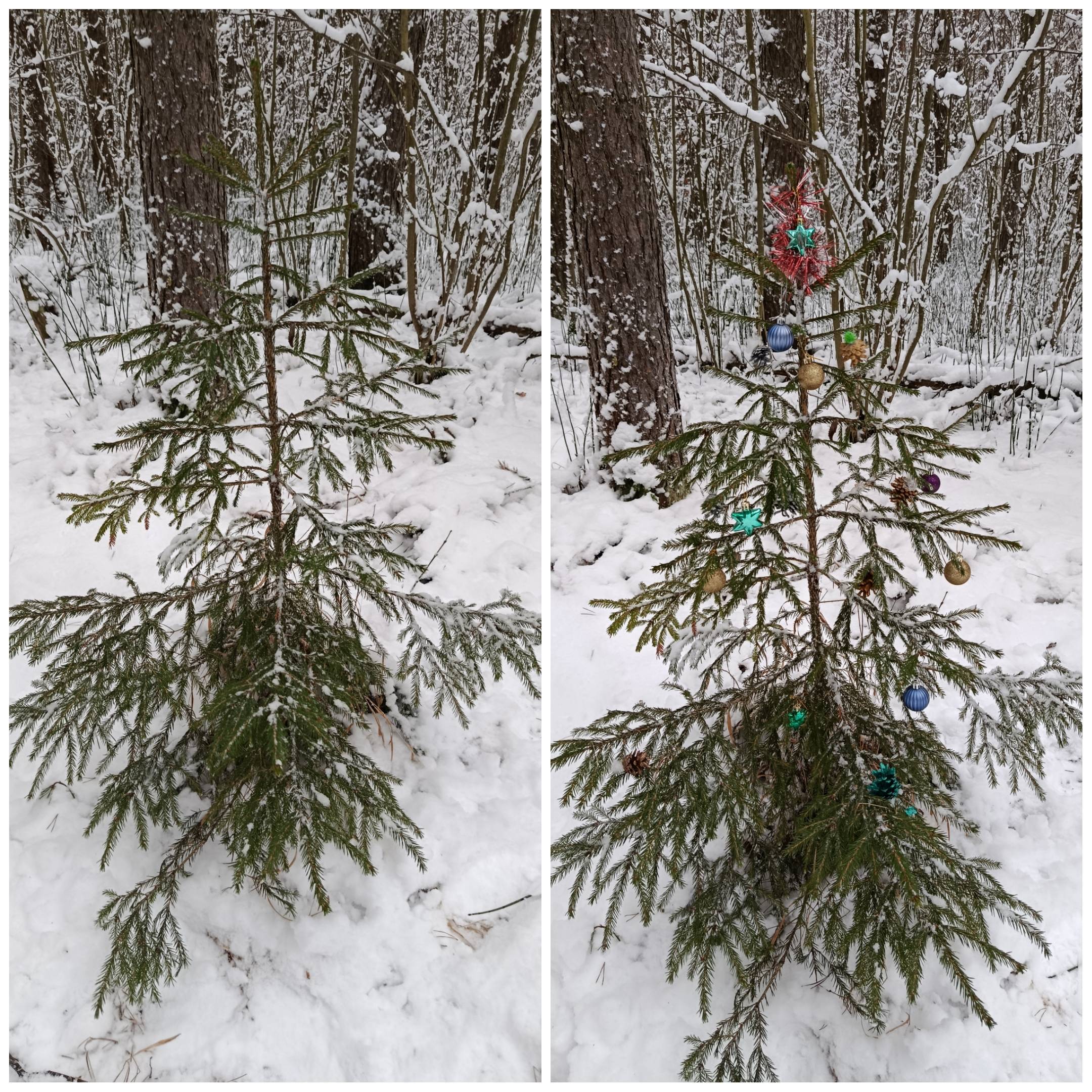 Картинка загружается...