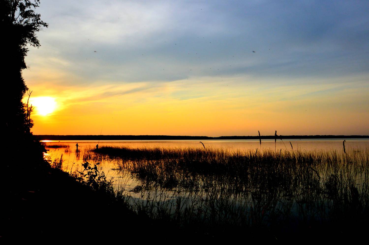 Картинка загружается...
