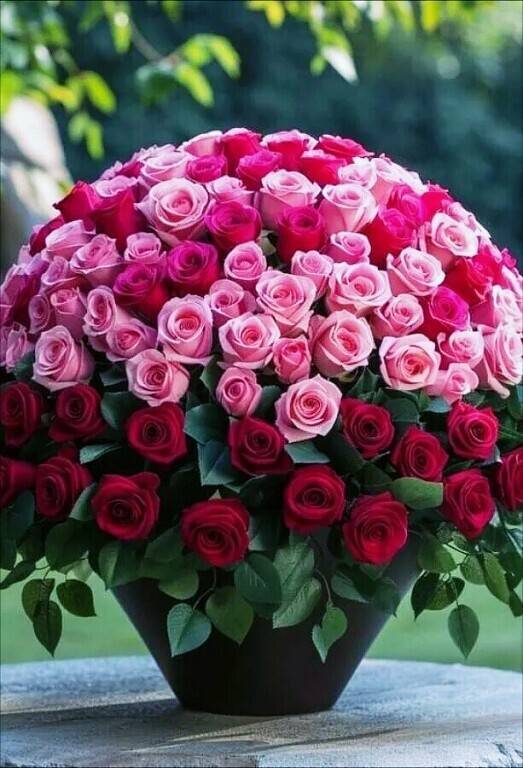 Картинка загружается...