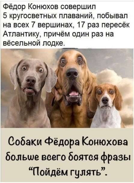 Картинка загружается...