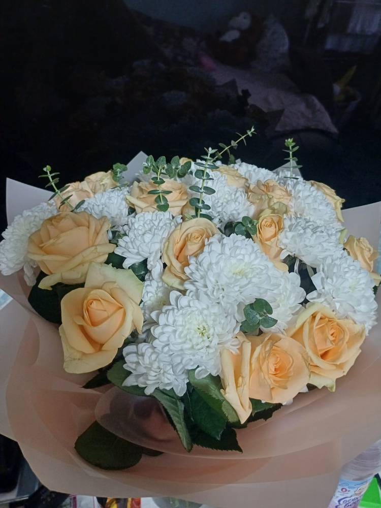 Картинка загружается...