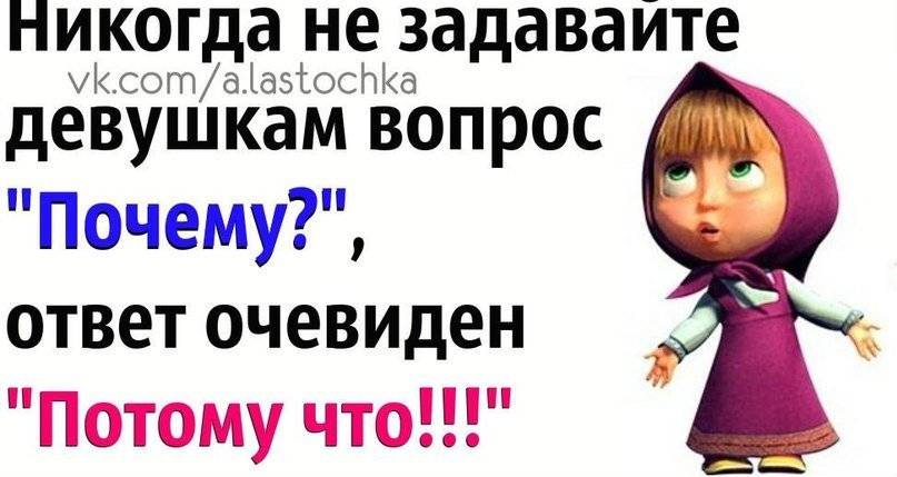 Вопросом на вопрос будете отвечать. Ответ на почему. Ответ на вопрос почему. Как ответить на вопрос почему. Смешные ответы на вопрос почему.