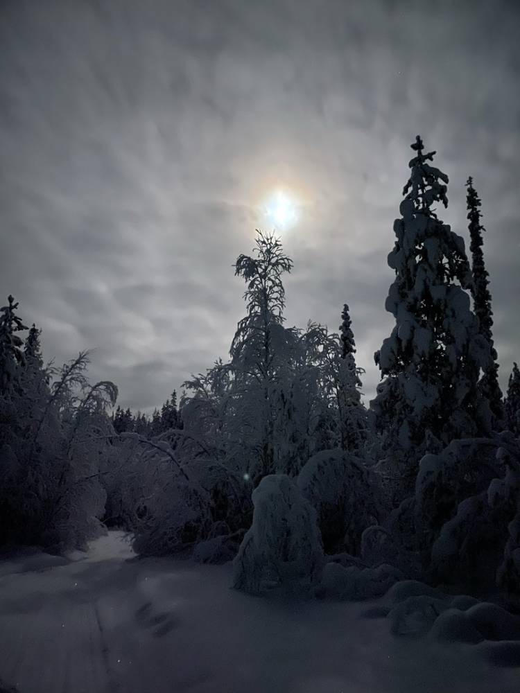 Картинка загружается...