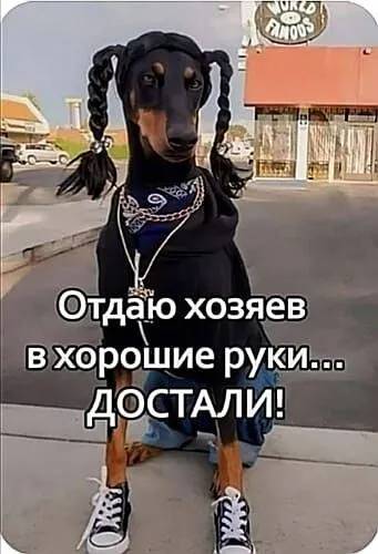 Картинка загружается...