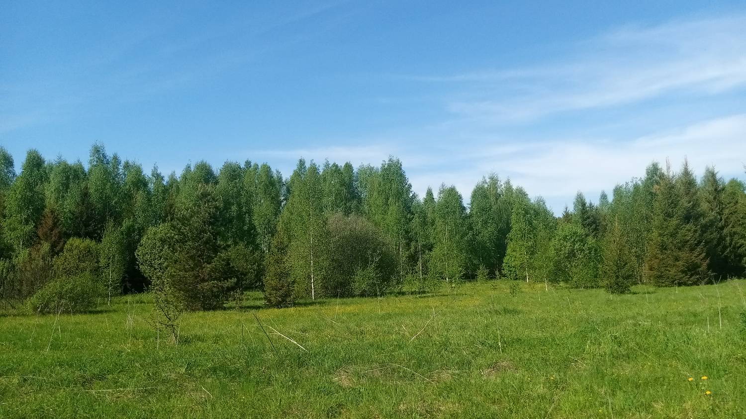 Картинка загружается...