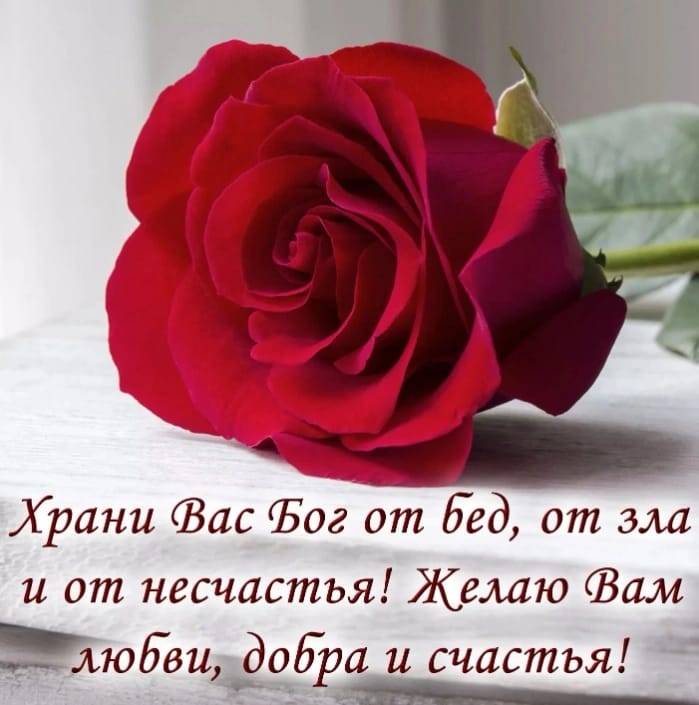 Картинка загружается...