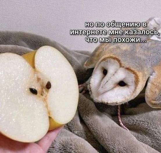 Картинка загружается...