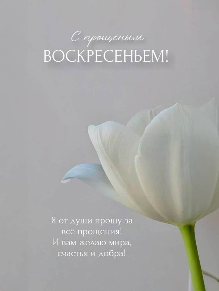 Картинка загружается...