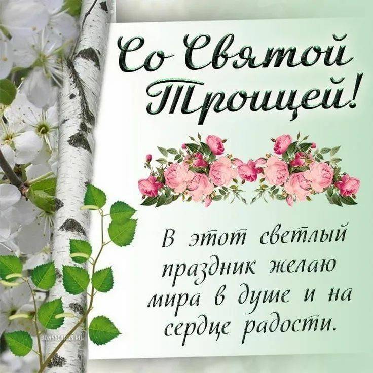 Картинка загружается...