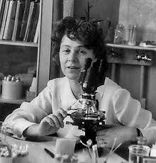 Картинка загружается...