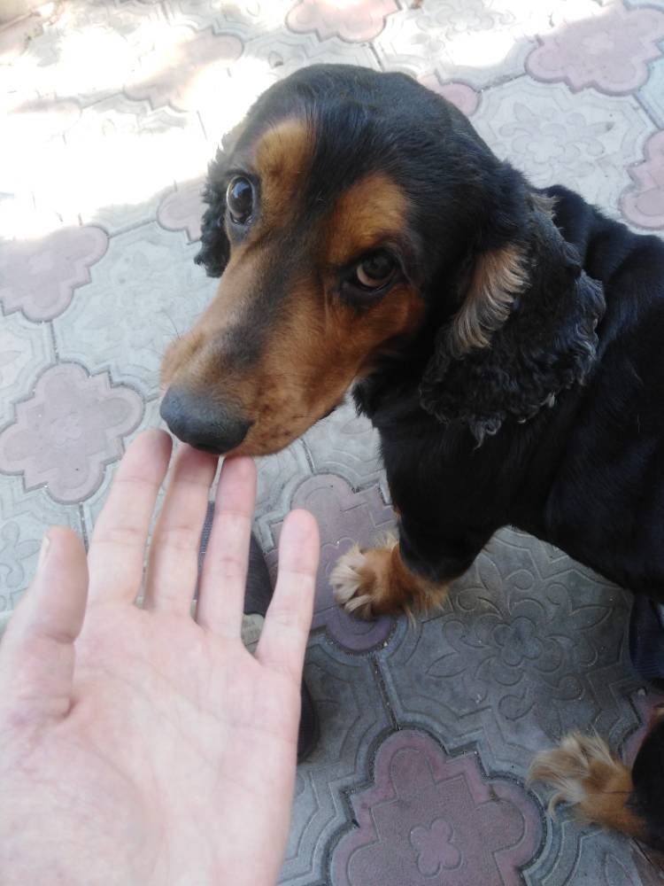 Картинка загружается...