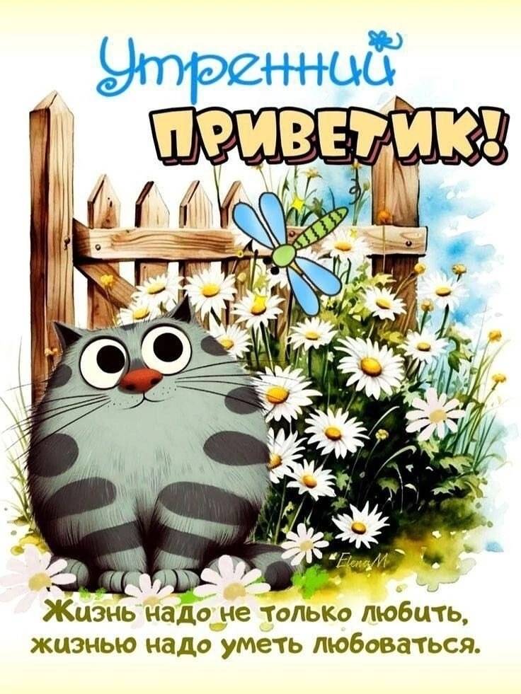 Картинка загружается...