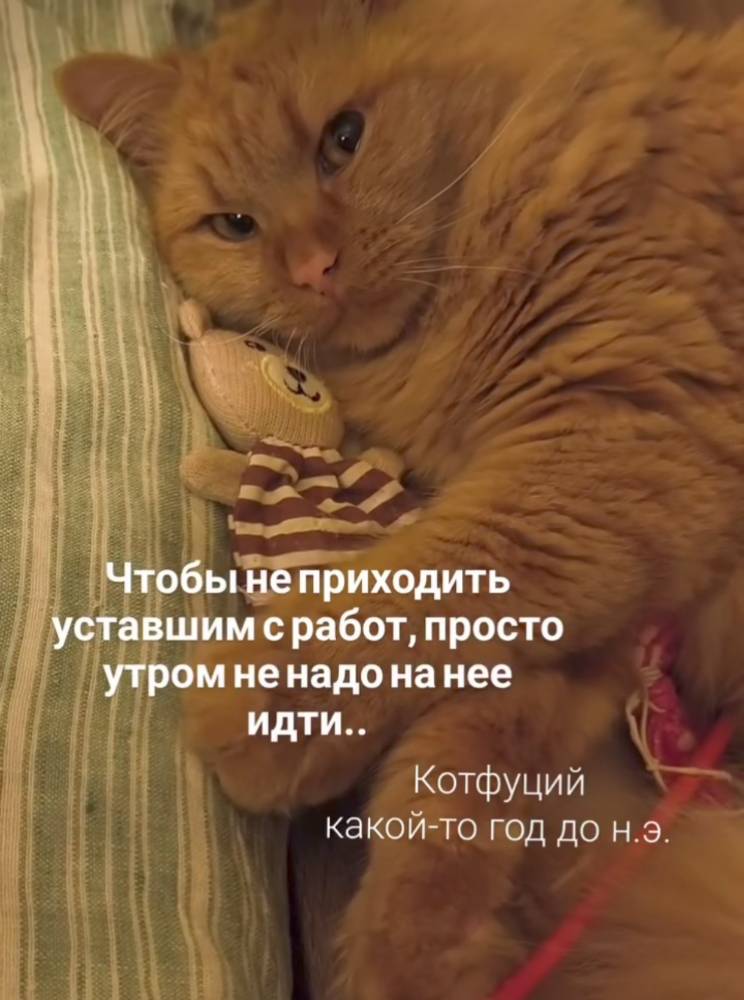 Картинка загружается...