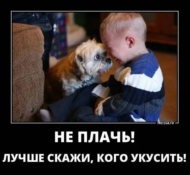 Картинка загружается...