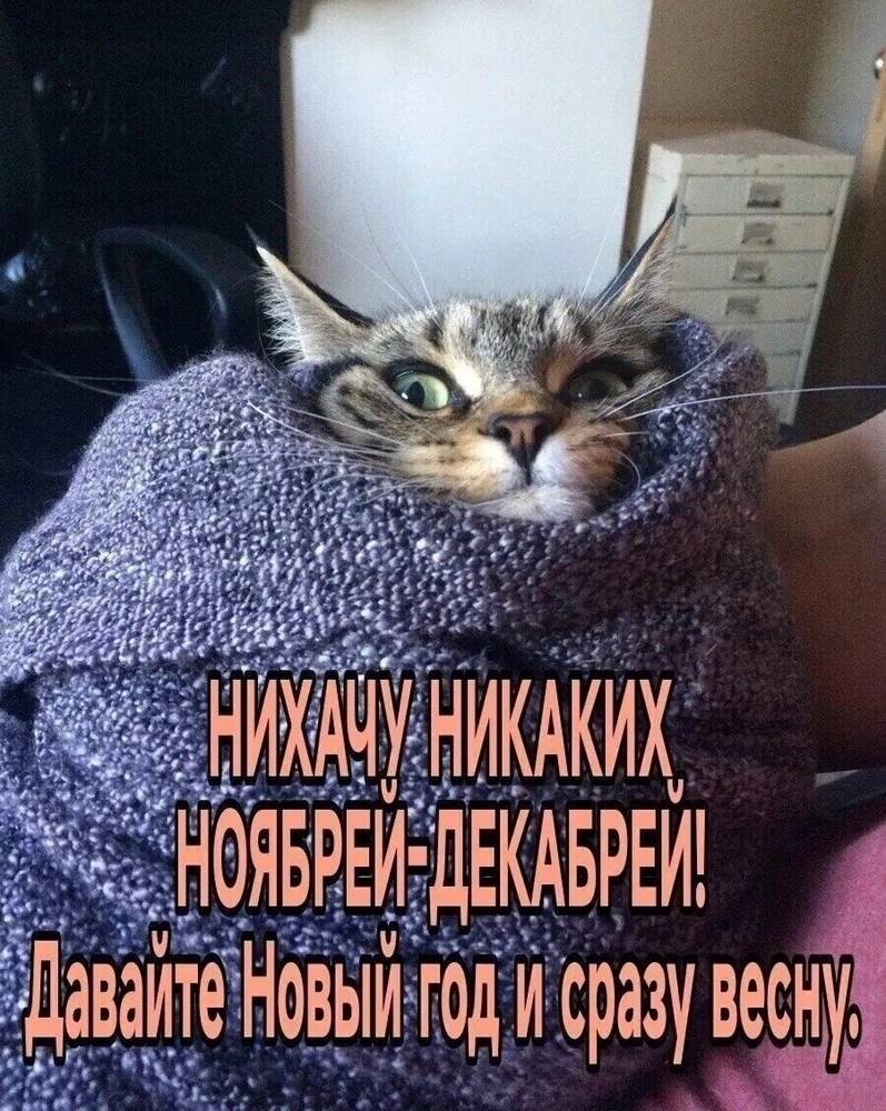 Картинка загружается...