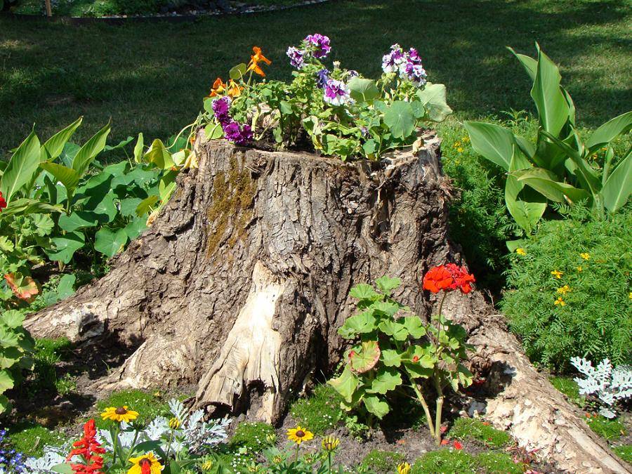 Картинка загружается...