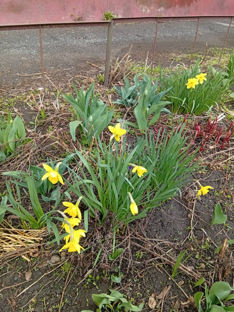 Картинка загружается...