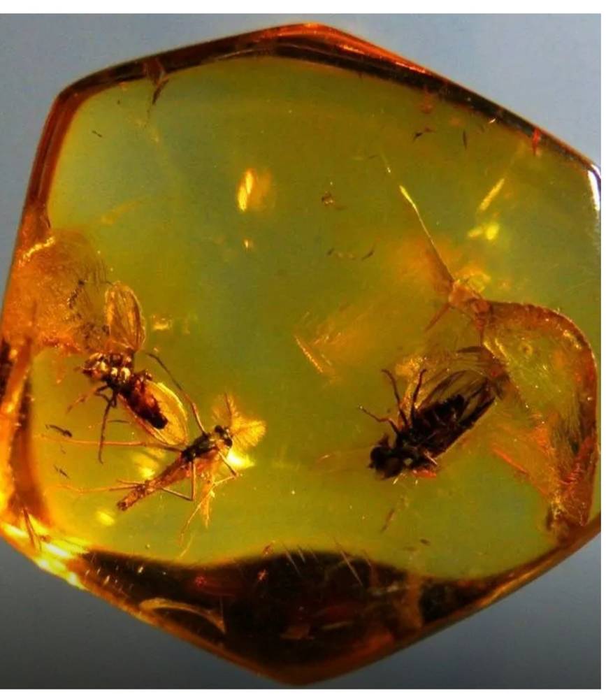 Канифоль смола. Речной янтарь. ) (45644). Янтарь солнечный камень. Смола сосна янтарь.