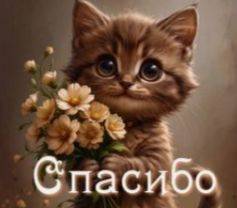 Картинка загружается...