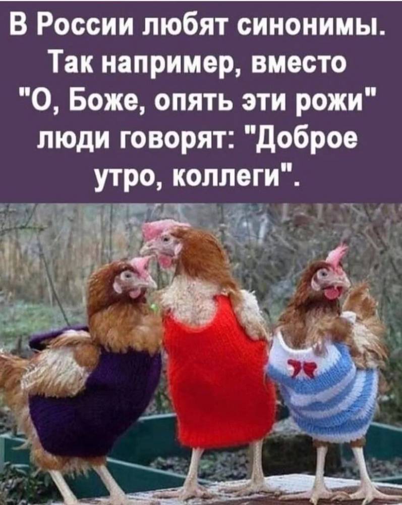 Картинка загружается...