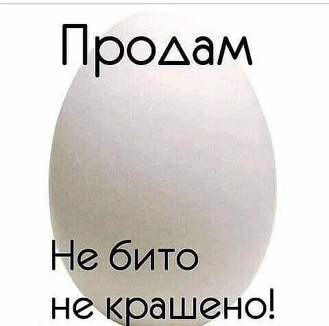 Картинка загружается...