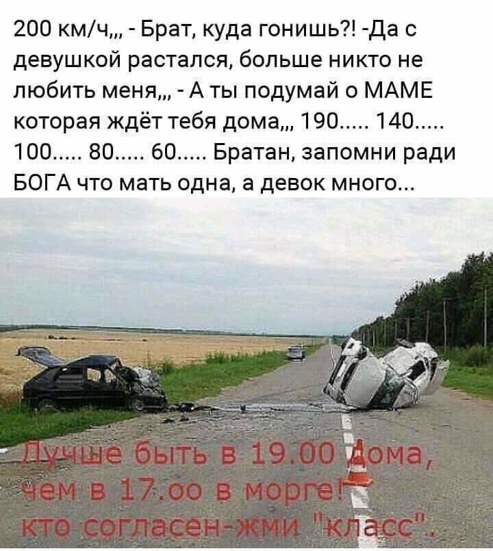 Гордый волк мем. Вася ты шо гонишь. Куда гонишь брат. Погнали я создал. Просто возьми.