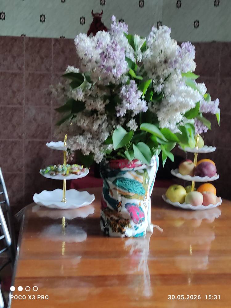 Картинка загружается...