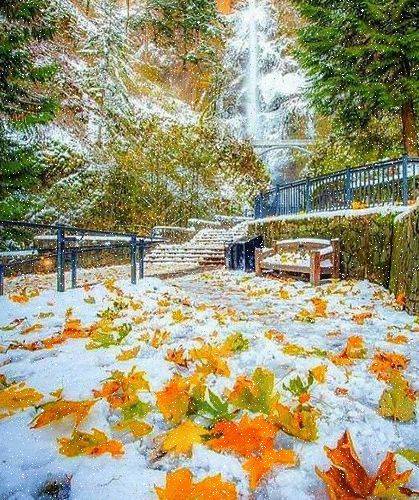 Картинка загружается...