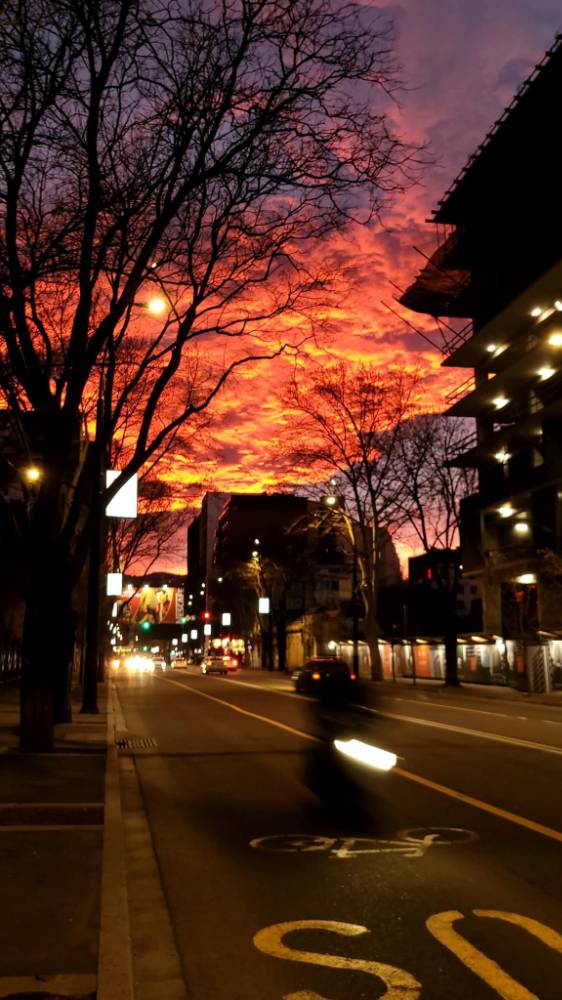 Картинка загружается...