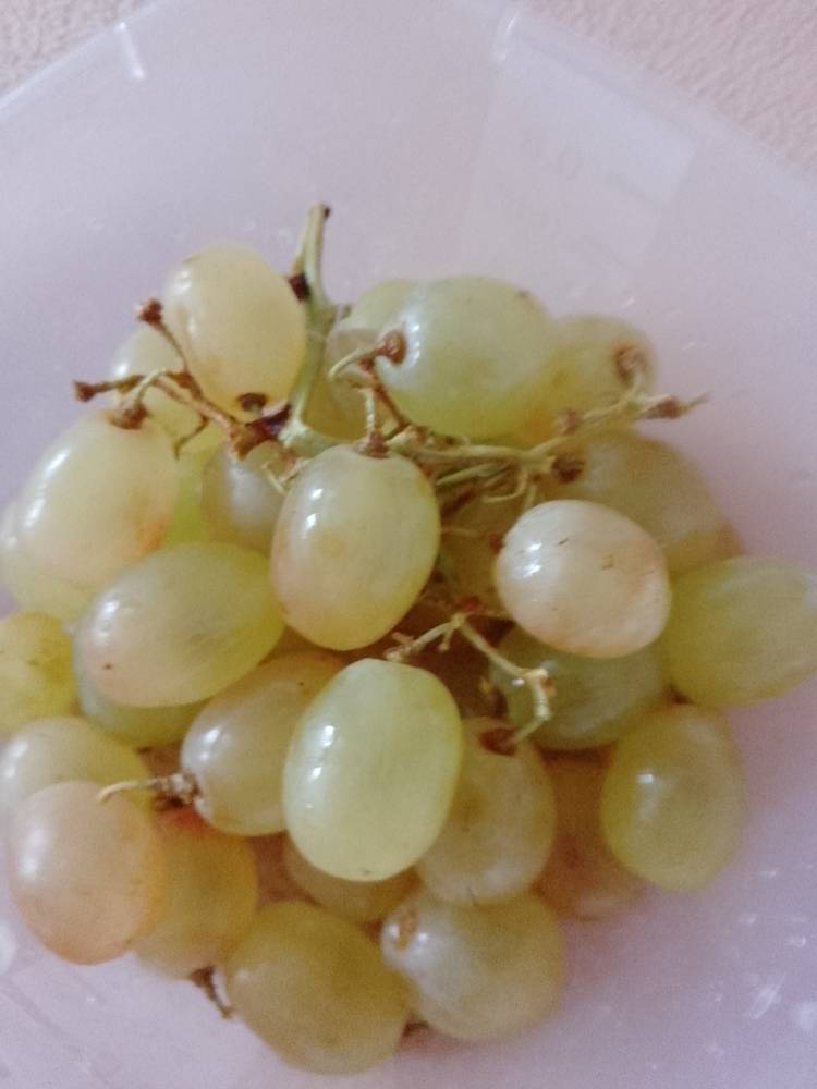 Картинка загружается...