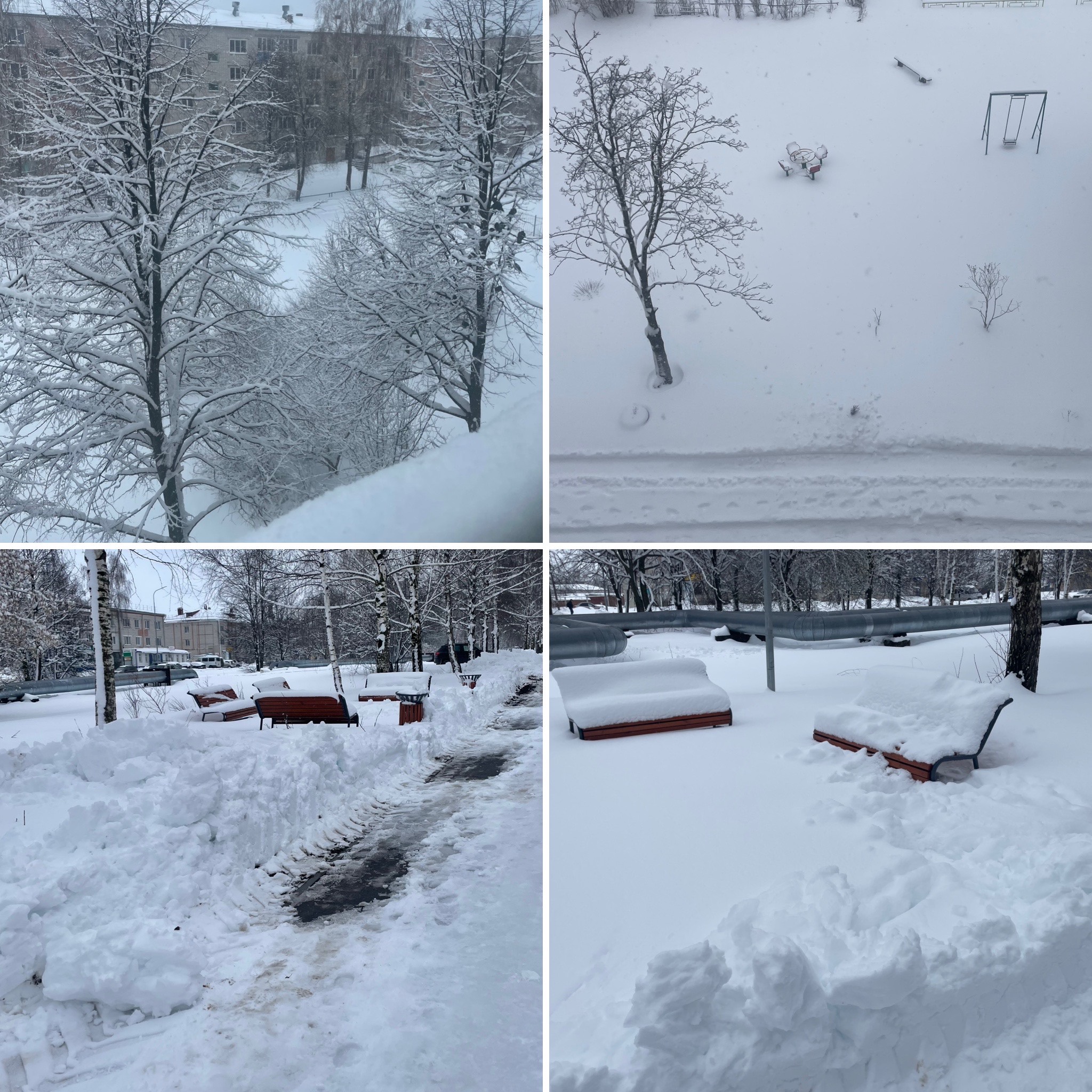 Картинка загружается...