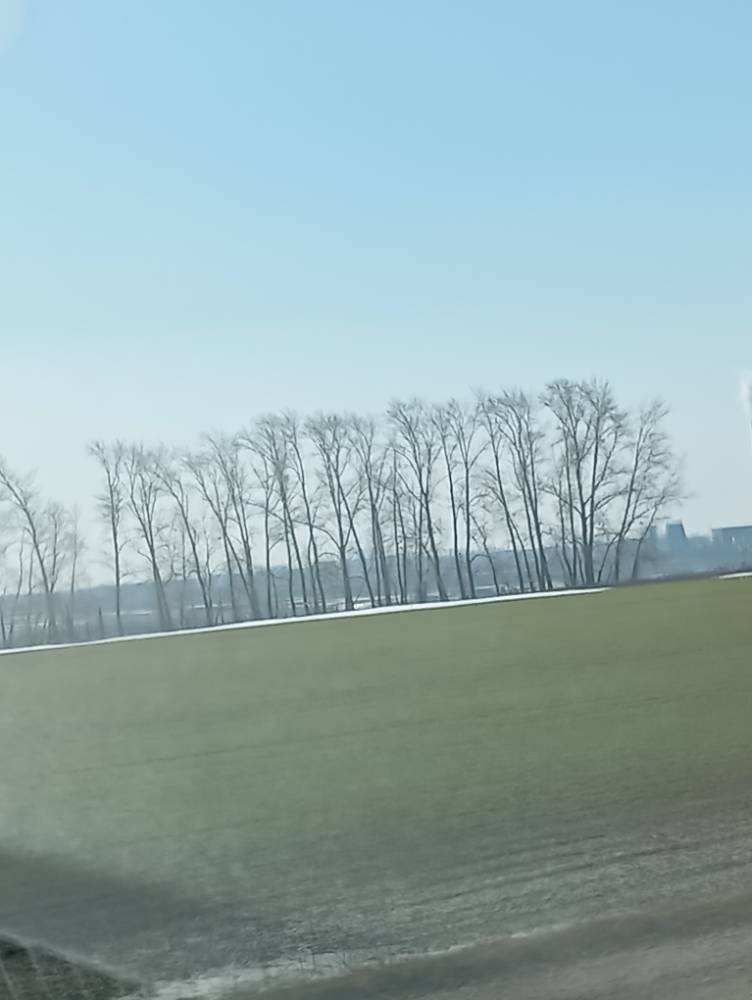 Картинка загружается...