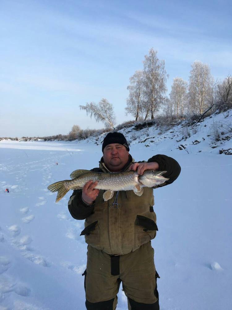 Картинка загружается...