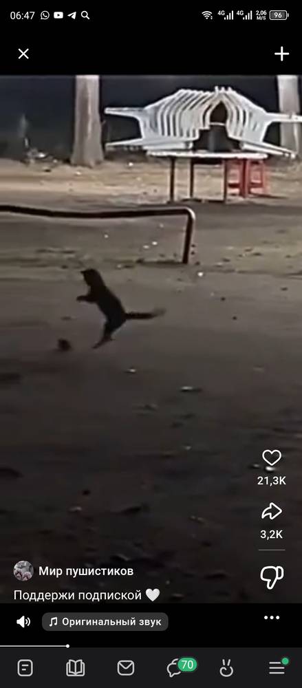 Картинка загружается...