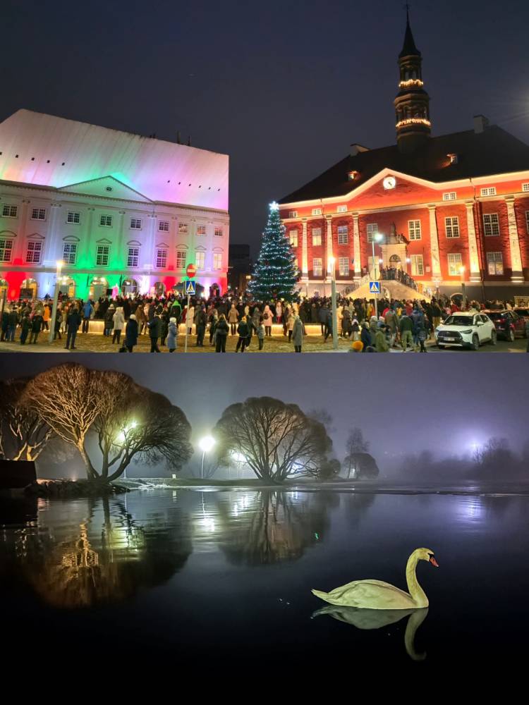 Картинка загружается...