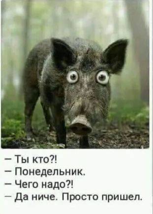 Картинка загружается...