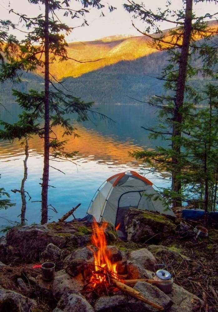 Картинка загружается...