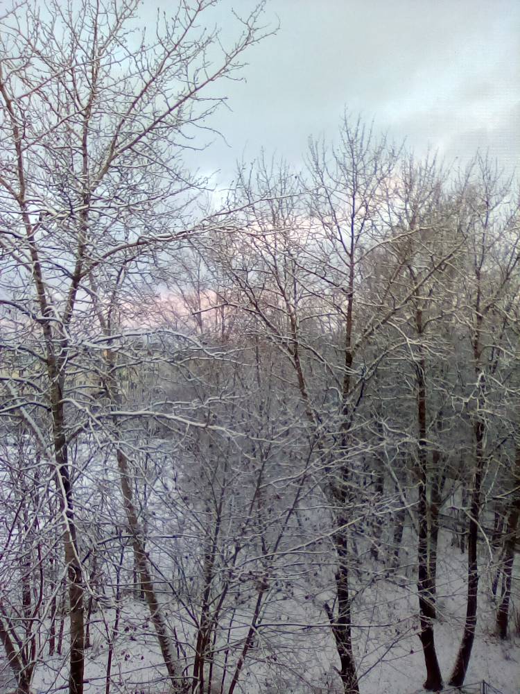 Картинка загружается...