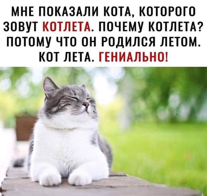Картинка загружается...