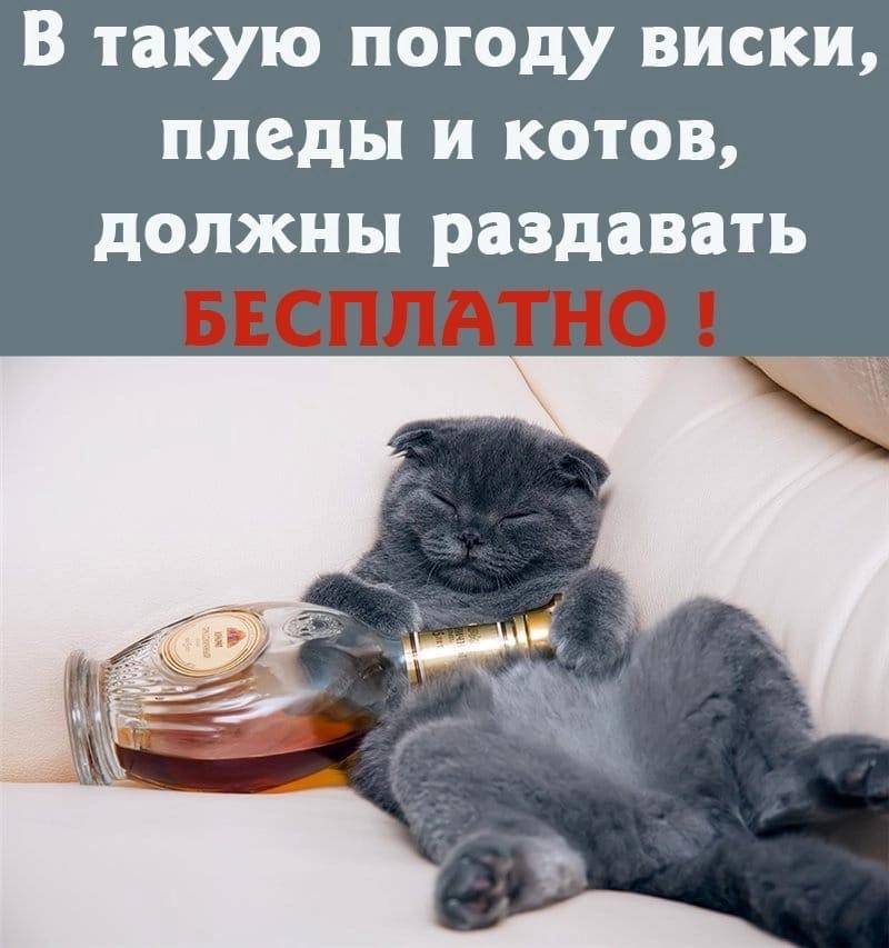 Картинка загружается...