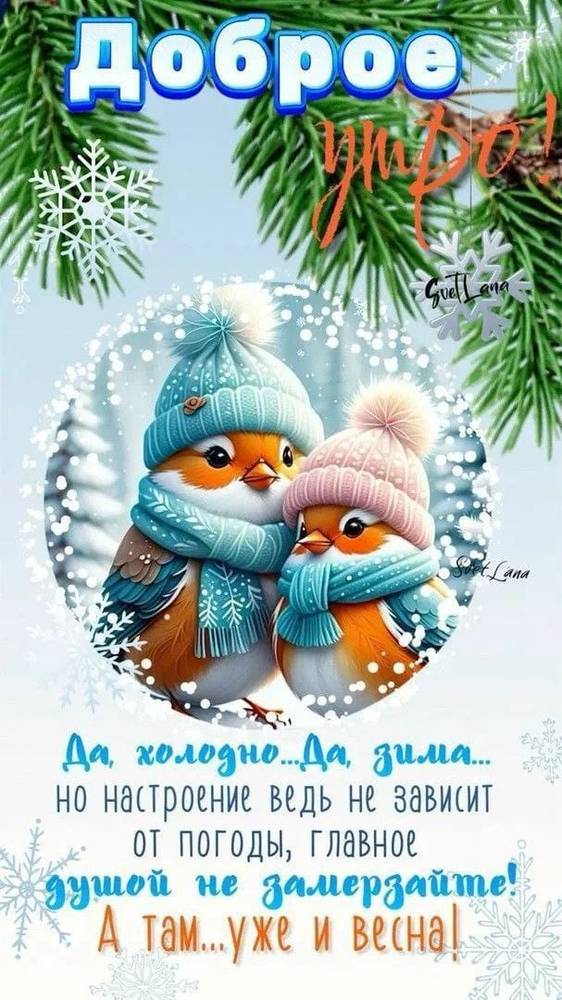 Картинка загружается...