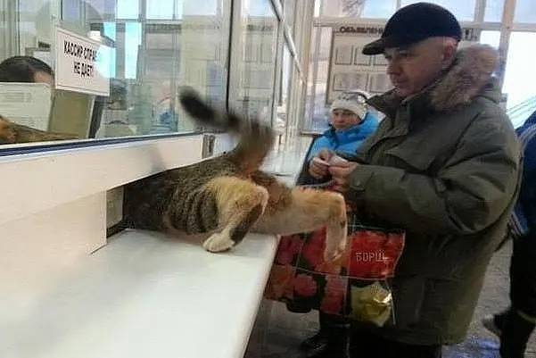 Картинка загружается...