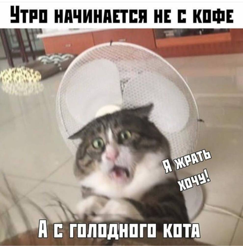 Картинка загружается...