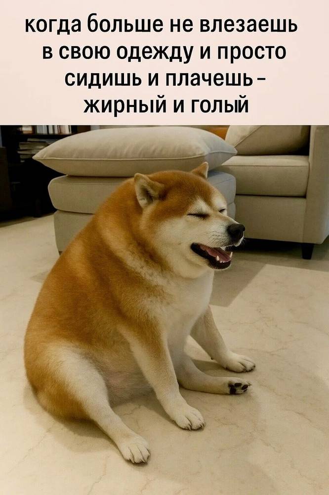 Картинка загружается...