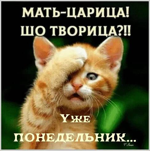 Картинка загружается...