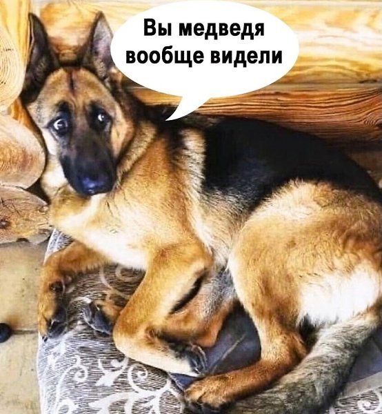 Картинка загружается...