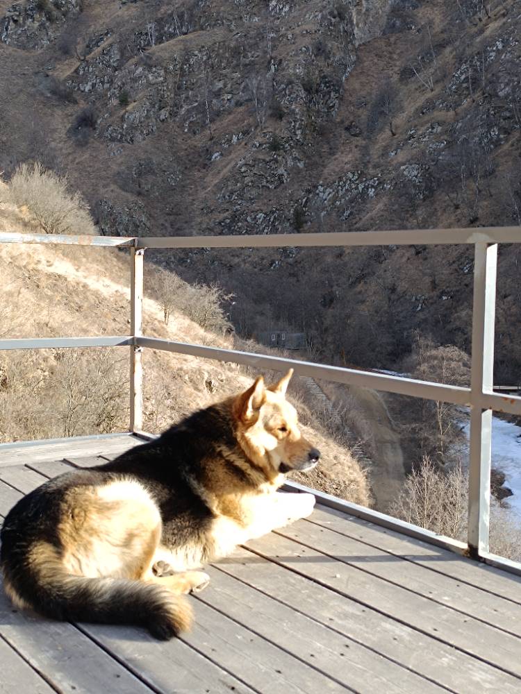 Картинка загружается...