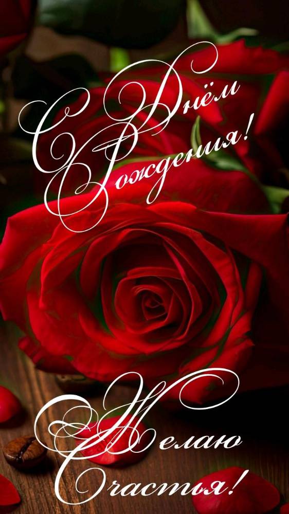 Картинка загружается...