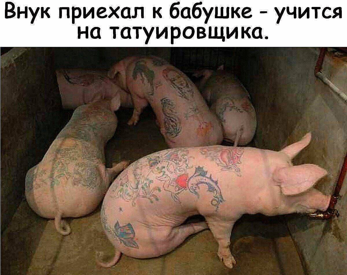 Приколы с татуировками