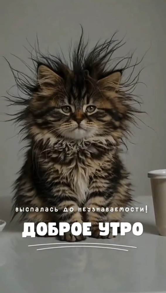 Картинка загружается...